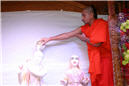 Abhishek (283).jpg